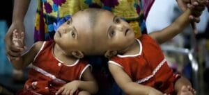 Screenshot 20240403 1207392