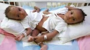 Screenshot 20240403 1208322