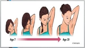 Balaga 3 stages and signs of puberty 6 638