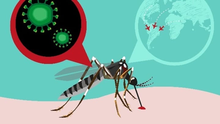 Dengue 1 1453964478 5507