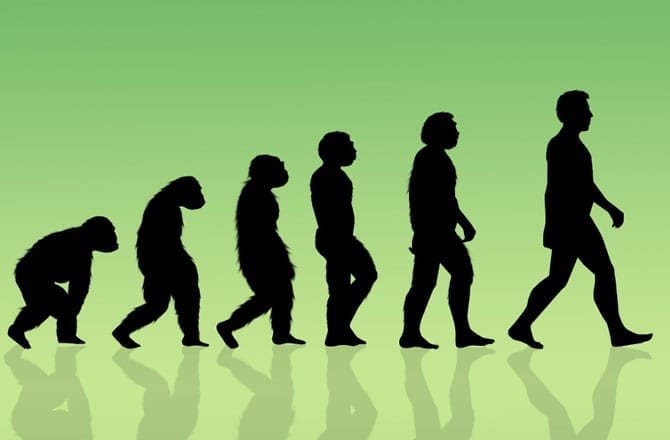 human evolution 670
