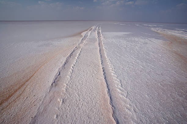 Sahara 3 salty landscapes greater rann of kutch gujrath india0