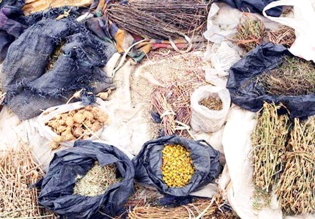 Maganin gargajiya 2 14eb041ce523b9d0add7ccad405fba3a 2