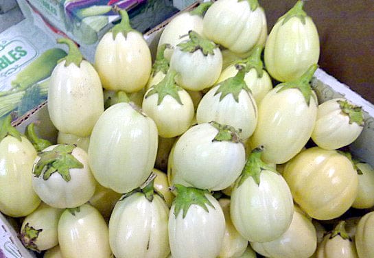 FreshGardenEggs 1kg 3 grande0