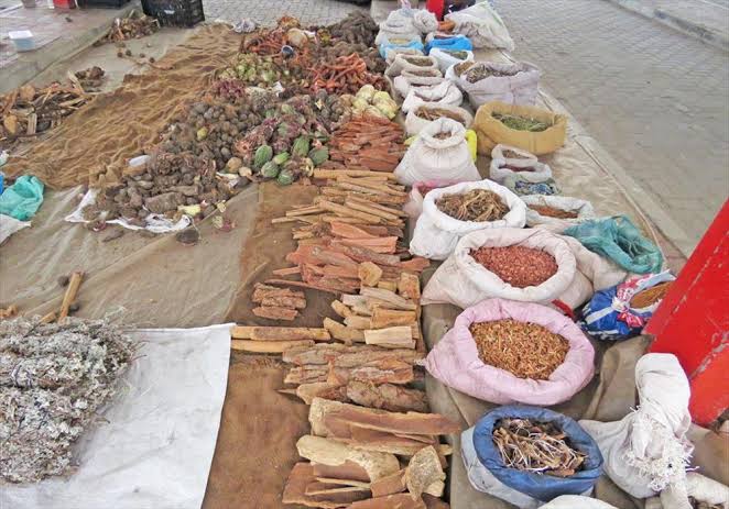 Maganin gargajiya 1 images 2021 02 03T203101.5560