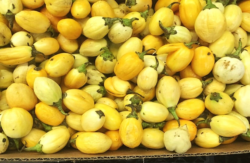 poster article16121811250