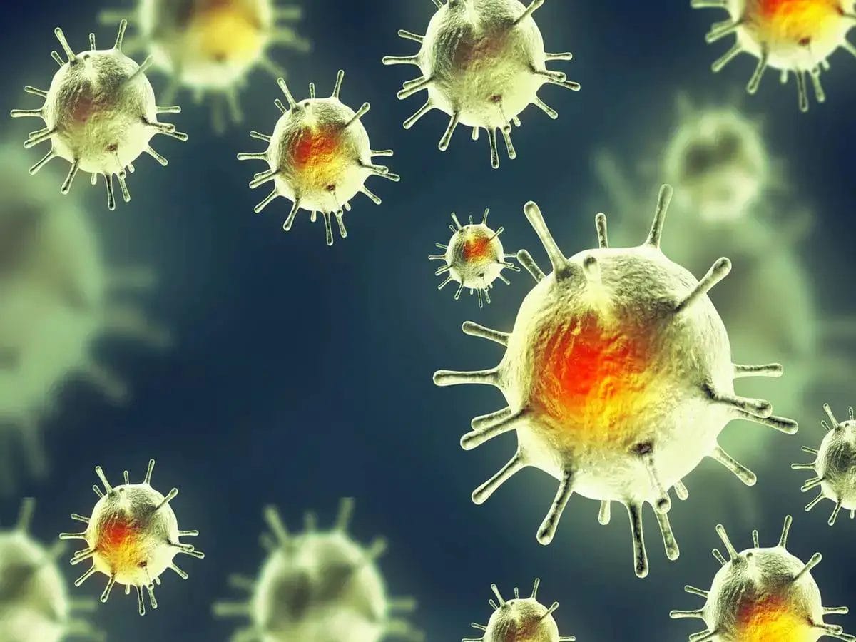 Cutar X 1 fight against disease x scientists identify essential prevention tactic