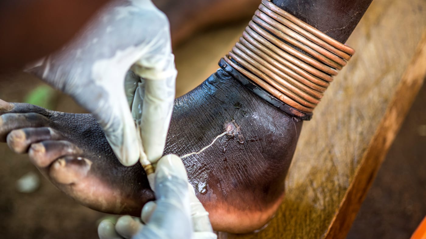 mogos 34 wide f11ccfdd741d398c485aa4f73b3399bc948ac02a