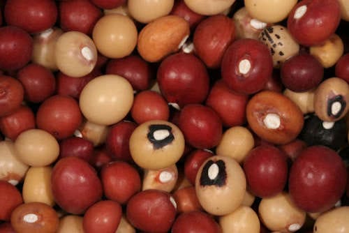 210903110924 JUGO BEAN2
