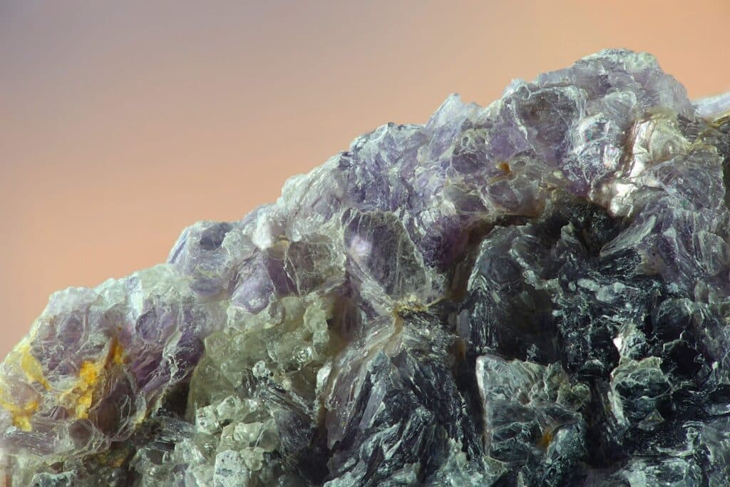 AdobeStock 283323011 1024x683 1 1