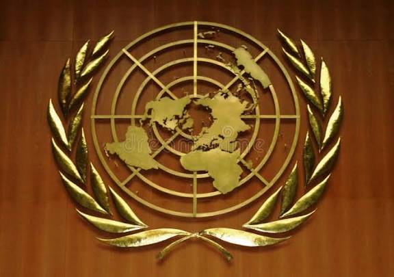 United Nations 2 images 10