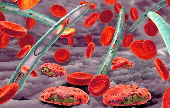 Ƙwayoyin jini a ƙwaƙwalwa 