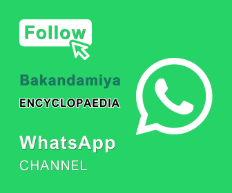 Bakandamiya WhatsApp Channel 336 x 280